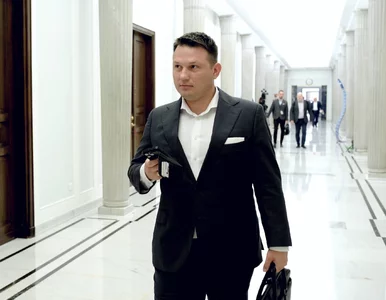 Miniatura: Haker wykradł dane partii Mentzena. Nie po...