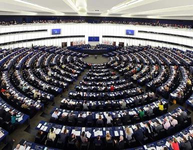 Miniatura: Parlament Europejski za uregulowaniem...