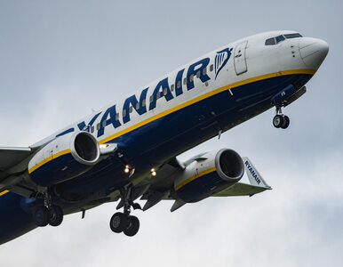 Szef Ryanaira bardzo krytycznie o CPK. „Nie jest za późno, by zrezygnować”