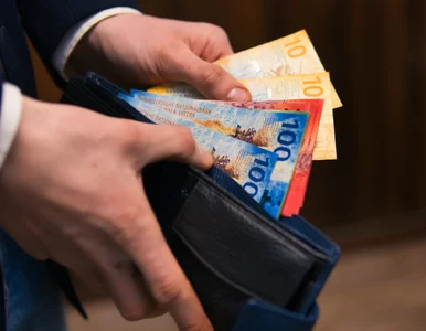 Miniatura: Dwie umowy kredytu frankowego. Jak wygrać...