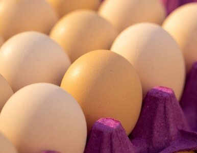 W niektórych krajach zaczyna brakować jajek. Czy i nam to grozi?