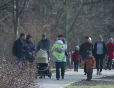 Miniatura: Tarocistka rozkłada karty: jaki będzie...