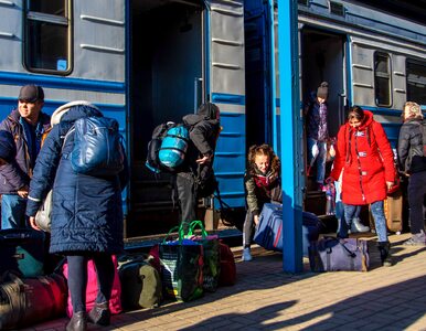 Co planują uchodźcy z Ukrainy, którzy są w Polsce? Wyniki badania zaskakują