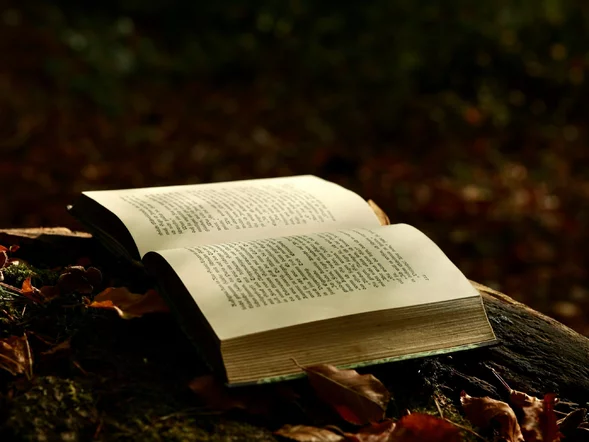 Miniatura: Burza wokół książki dziennikarki TVP Info....