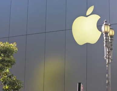 Miniatura: Czy Apple zadziwi jutro rynek tabletów?