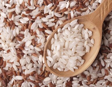 Miniatura: Zdrożał ryż, podstawa wyżywienia w wielu...