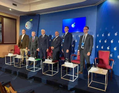 Miniatura: „Może stracić najwięcej.” Polska w centrum...