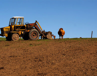 ARiMR: Od 31 marca nabór wniosków o premie dla młodych rolników