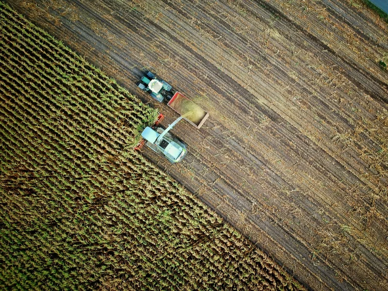 Już nie silos. Rolnictwo w Polsce musi rozbić swoją bańkę – bo przepada