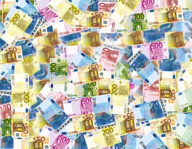 Miniatura: Quiz. Euro czy dolary? Sprawdź swoją...