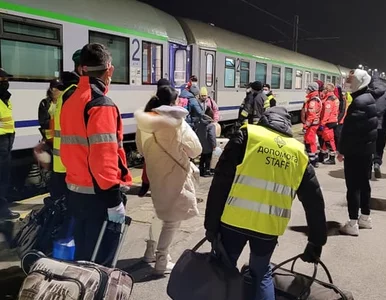 Miniatura: Alerty RCB dla Ukraińców. Z Krakowa i...