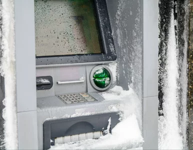 Miniatura: Ranking lokat na miesiąc. To obecnie...