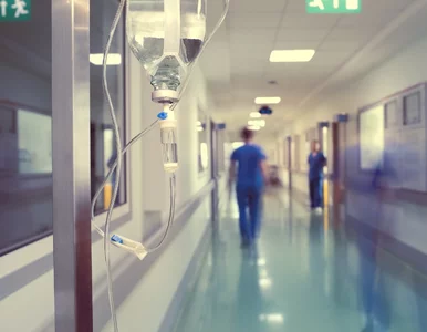 Miniatura: Naukowcy użyją mikroorganizmów do...