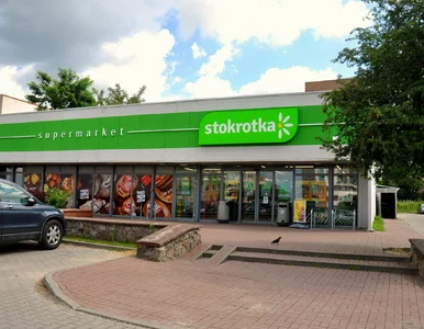 Miniatura: Stokrotka we włoskim stylu