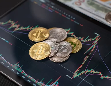 Miniatura: Tylu Polaków zainwestowało w kryptowaluty....