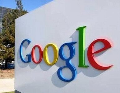 Miniatura: Akcje Google na sprzedaż