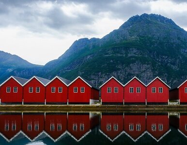 Miniatura: Norwescy milionerzy zmieniają adres....