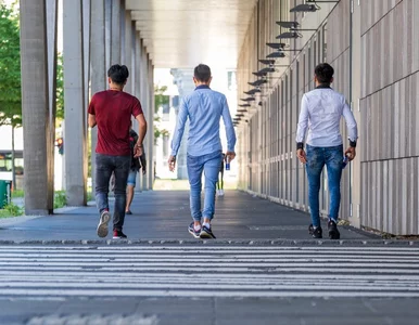 Miniatura: Młodzi spodziewają się emerytury „na...