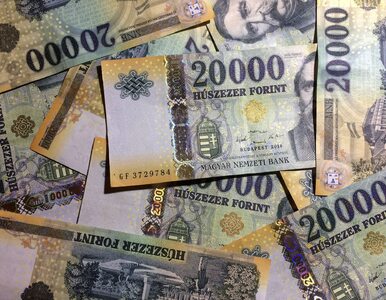 Miniatura: Węgierski bank centralny interweniował, by...