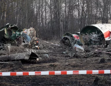 Miniatura: Nowy ruch śledczych ws. Smoleńska....