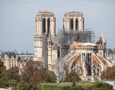 Z Notre Dame wkrótce znikną rusztowania. Tak teraz wygląda katedra