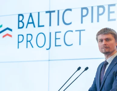 Miniatura: Co z Baltic Pipe po decyzji Duńczyków?...