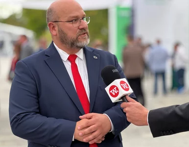 Miniatura: Paweł Strączyński: Kraje UE nie wrócą po...