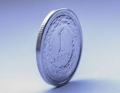 Miniatura: Złoty już dawno tak nie słabł