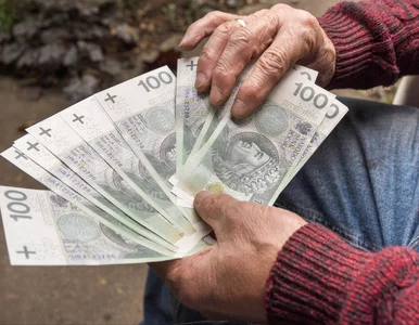 Miniatura: To już pewne. Renta wdowia wzrośnie w 2027...