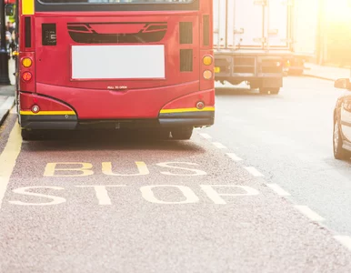 Miniatura: 70 dni w autobusie. Powstała trasa tylko...