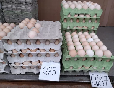 Miniatura: Polacy nadal oszczędzają. „Jest źle, ale...