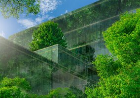 Miniatura: Zielone mieszkania to złoty zysk? „Biją...