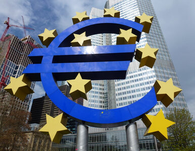 Miniatura: Dziś EBC rozdaje karty