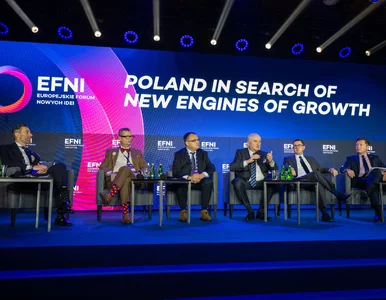 Miniatura: PGE w debacie na EFNI: nie rezygnujemy z...