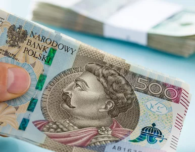 Miniatura: Biznes potrzebuje paliwa, czyli kapitału
