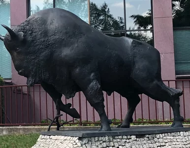 Miniatura: Nowa strategia Banku Pekao S.A. – cztery...