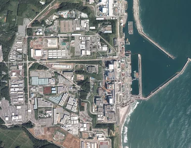 Miniatura: Chiny nie chcą japońskich ryb. Wszystko...