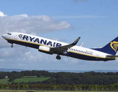 Miniatura: Ryanair zapowiedział 100 mln dolarów...