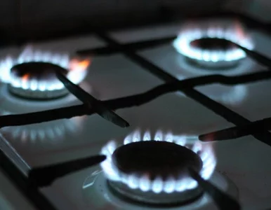 Miniatura: W ciągu tygodnia gaz w Europie podrożał o...