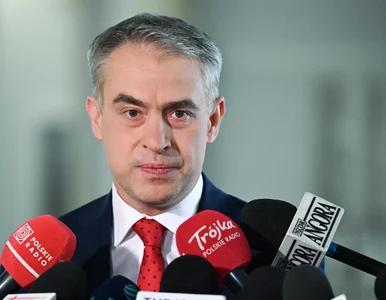 Miniatura: Minister cyfryzacji chce kary dla giganta...