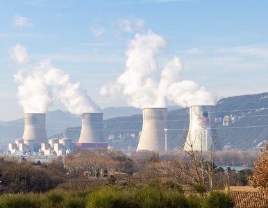 Reaktory atomowe EDF mają wady konstrukcyjne. 2,2 miliona Francuzów...