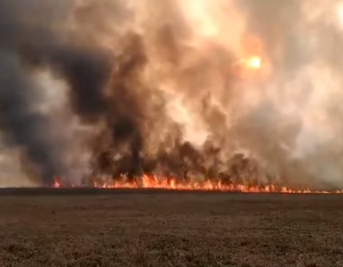 Minister środowiska: Grzywny za wypalanie traw wzrosną do 30 tys. zł
