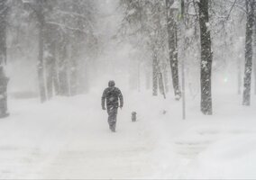 Miniatura: Ci Polacy otrzymali rachunki grozy....