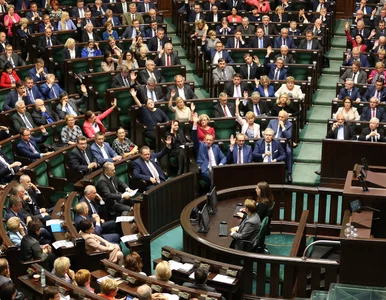 Miniatura: Sejm zajmie się projektami ws....