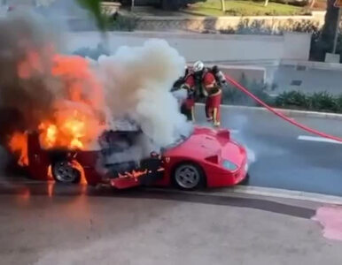 Miniatura: Legendarne Ferrari spłonęło. Świadek...