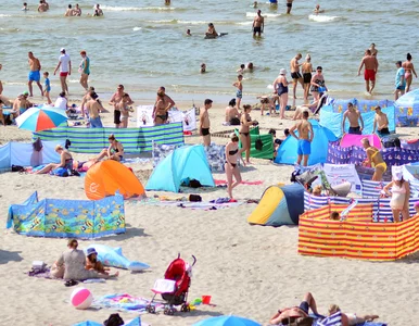 Miniatura: Wakacje już za dwa tygodnie. Wiemy, ile...