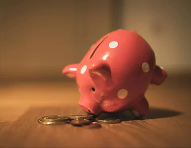 Miniatura: OFE lepsze niż subkonto w ZUS? Polacy w...