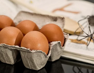 Miniatura: Duża sieć rezygnuje z jaj klatkowych....