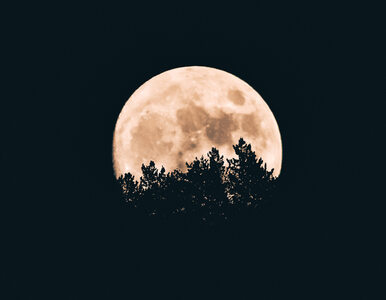 Księżyc Żniwiarzy lada moment rozświetli nocne niebo. Nie przegap spektaklu