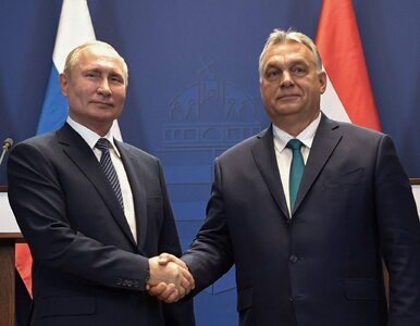 Miniatura: Węgry mają nowych bratanków. „Jeśli Rosja...